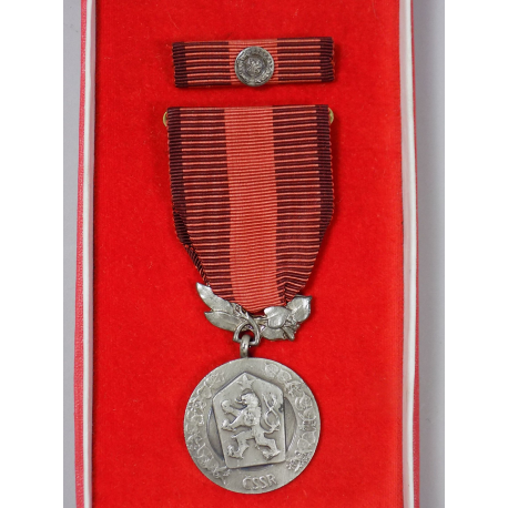 Medaile za zásluhy o obranu vlasti